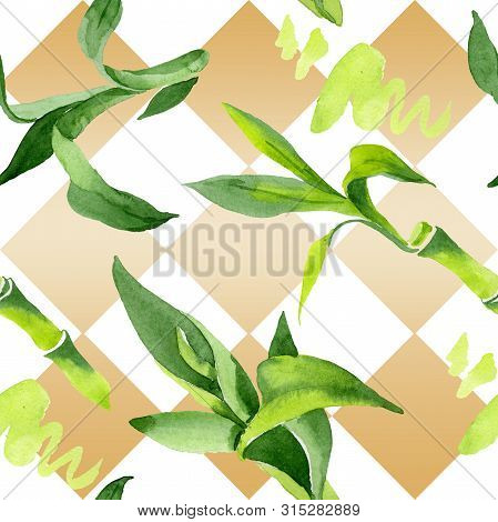 Bamboo Green Leaves. Watercolor Background Illustration Set. Seamless Background Pattern.