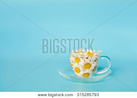 Chamomile Flowers In Transparent Glass Cup On Saucer On Blue Background. Crearive Concept Natural Ch