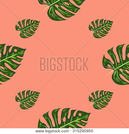 Tropical Pattern. Seamless Texture With Bright Hand Drawn Leaves Of Monstera.
