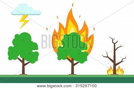 Sequence Of Fire In The Forest. The Natural Nature Of Fire. Flat Illustration.