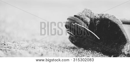 String Trimmer On Mown Grass, Close Up. Theme Of Lawn Care Services, Tool Rental Or Repair. Banner F