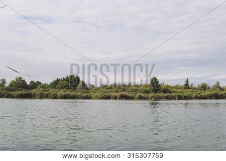 Large Lake On A Sunny Day Against The Background Of A Dense Green Forest, Nature In Russia