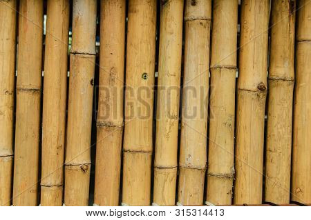 The Bamboo Fence Texture Background In Thailand.