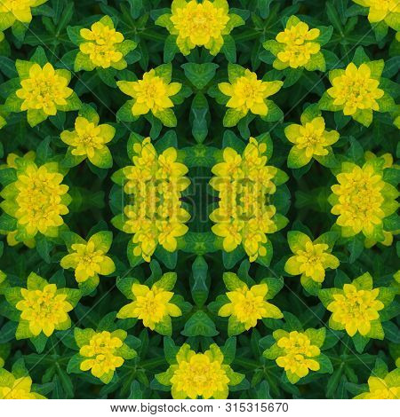 Floral Seamless Pattern. Abstract Floral Background, Ornament. Bright Yellow Flowers Texture. Euphor