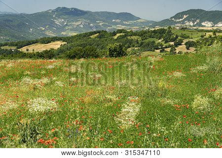 Passo Del Penice, Pavia, Lombardy, Italy: Mountaain Landscape At Late Spring (june)