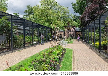 Amsterdam, The Netherlands - June 08, 2019: Visitors In Artis Zoo Amsterdam Looking To The Bird Sanc