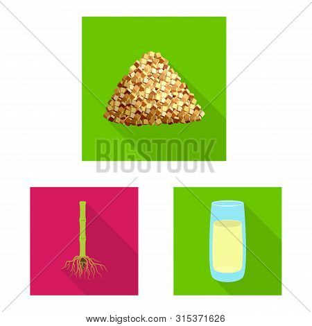 Vector Illustration Of Plant And Plantation Icon. Set Of Plant And Agriculture Vector Icon For Stock