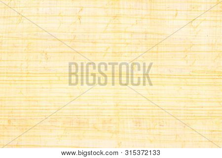 Egypt Real Papyrus Paper Background And Texture Number 33. Close Up Macro.