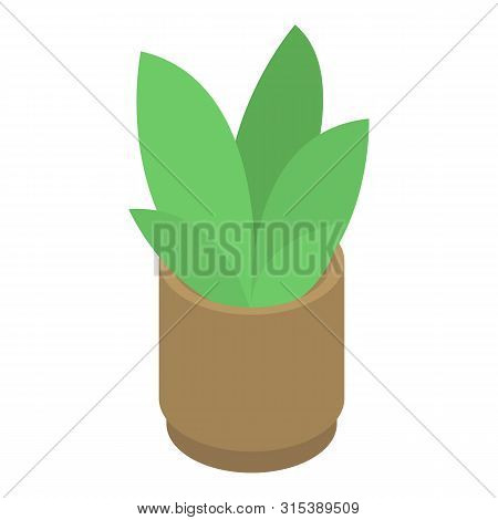 Office Flower Pot Icon. Isometric Of Office Flower Pot Vector Icon For Web Design Isolated On White 