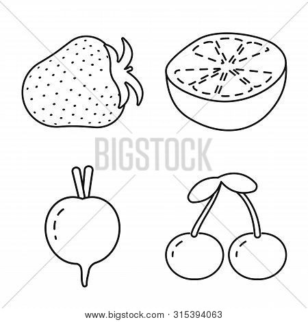 Vector Illustration Of Healthy And Ripe Icon. Set Of Healthy And Harvest Stock Vector Illustration.