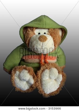 Ours en peluche