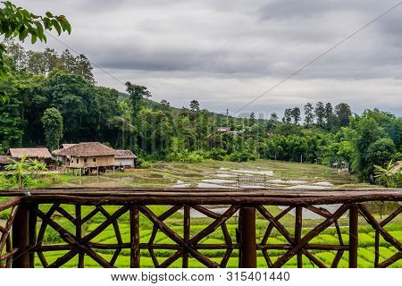 Chiang Mai, Thailand; July 2, 2019: Landscape Of Rice Paddies And Buildings Located At Chiang Doa Fi