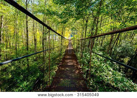Narrow Metal Foot Bridge Across Forest In Autumn.