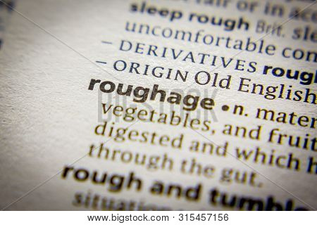 Word Or Phrase Roughage In A Dictionary