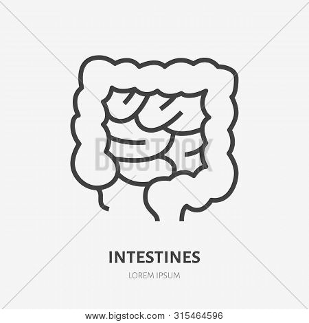 Gut Flat Line Icon. Vector Thin Pictogram Of Human Internal Organ, Intestines Outline Illustration F