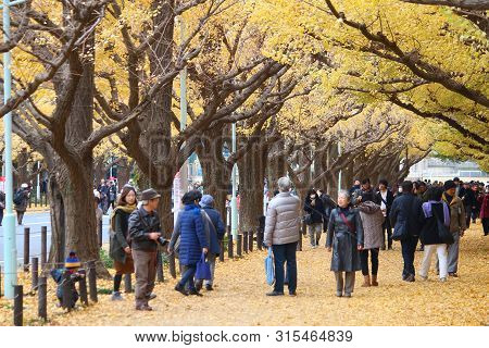 Tokyo, Japan - November 30, 2016: People Celebrate Ginkgo Avenue Autumn Foliage In Tokyo, Japan. Ich