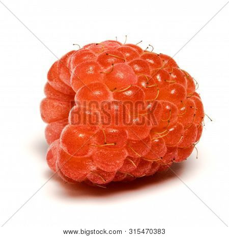 Ripe Beautiful Raspberry Berry On A White Background