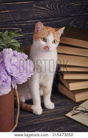 The Cat Is Sitting Behind A Flower Pot