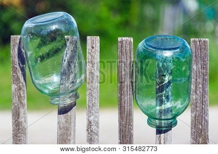 Washed Three Liter Glass Jars Left To Dry Upside Down On Weathered Timber Picket Fence On A Sunny Su