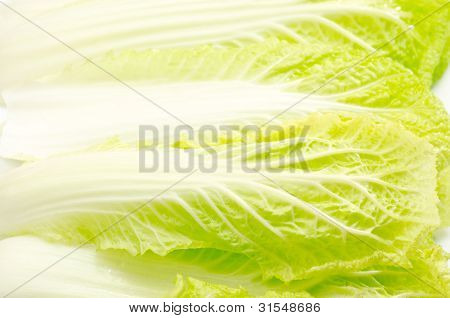 Китайская cabbag лист