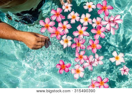Hands Over The Pool With Flowers. Tropical Flowers Frangipani Plumeria, Leelawadee Floating In The W