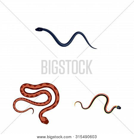 Vector Illustration Of Poison And Evil Symbol. Set Of Poison And Bite Vector Icon For Stock.