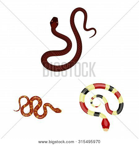 Vector Design Of Poison And Evil Symbol. Collection Of Poison And Bite Vector Icon For Stock.