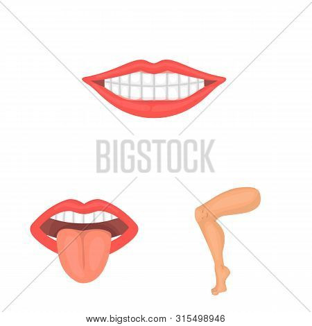 Isolated Object Of Body And Part Logo. Set Of Body And Anatomy Stock Vector Illustration.