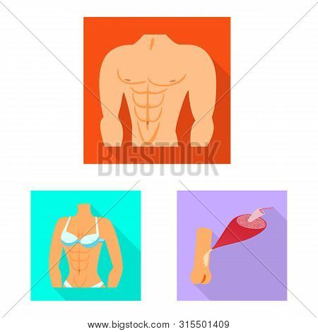 Isolated Object Of Muscle And Cells Logo. Set Of Muscle And Anatomy Stock Symbol For Web.