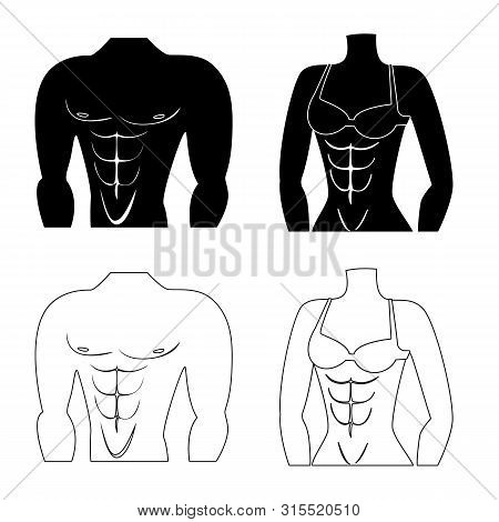 Vector Design Of Fiber And Muscular Icon. Set Of Fiber And Body Vector Icon For Stock.