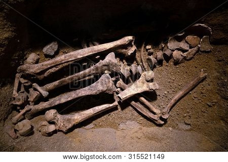 Prehistoric Human Bone Remains. Ancient Skeleton Discovered By Archeologists, Scientist Analyzing An