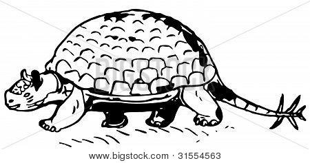 Prehistorikal Kaplumbağa