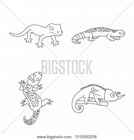 Vector Design Of Wildlife And Nature Symbol. Collection Of Wildlife And Exotic Vector Icon For Stock