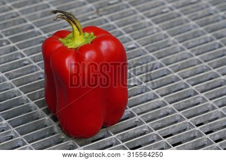 Red Bulgarian Pepper With The Black Ponytailagainst The Iron Lattice, Stale Food. Bacteria Multiply 