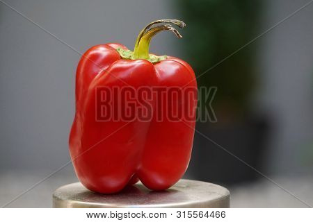 Red Bulgarian Pepper With The Black Ponytail In The Background Of The Building, Stale Food. Bacteria