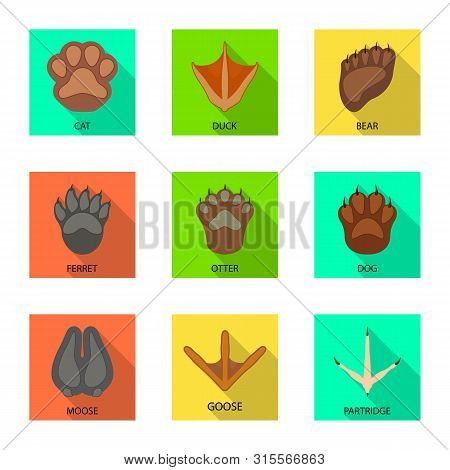 Vector Illustration Of Step And Walk Sign. Set Of Step And Fauna Stock Symbol For Web.