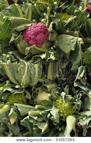 cauliflowers
