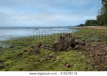 Full Of Mysticism And Romance Coast Of The Cold Sea