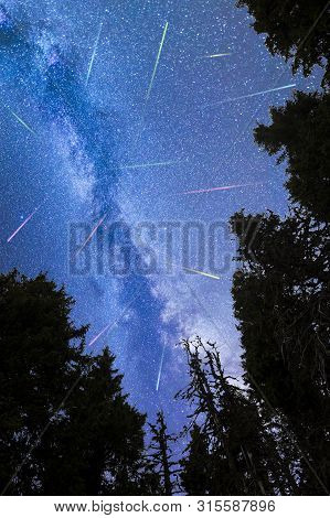 A View Of The Stars Of The Blue Milky Way With Pine Trees Forest Silhouette In The Foreground. Night