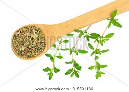 Dried Thyme Leaves In The Wooden Spoon, With Fresh Thyme Isolated On White Background. Top View