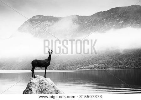 BOHINJ LAKE, SLOVENIA - JULY 28, 2019: Bronze statue of the legendary deer Zlatorog (The Golden Horn) 