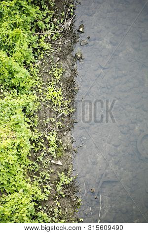 River Side With Green Small Plants Macro Background Fine Art High Quality Prints Products Fifty Mega