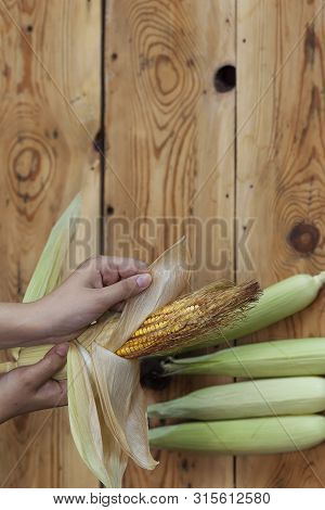 Young Female Cleaning Freshly Picked Raw Corns From Cobs On Wooden Background. Process Of Shucking C