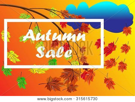Autumn Sale Vector Banner Background With Branch With Autumn Leaves With Fall Elements, Rainy Cloud,