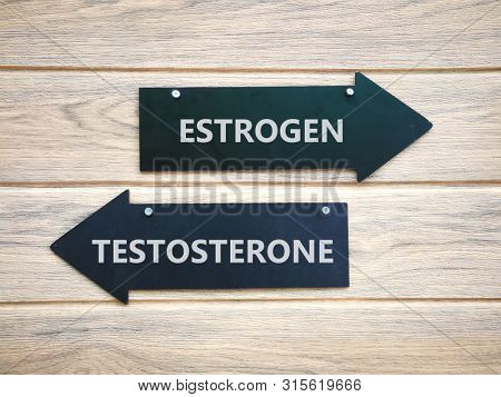 Signage of Estrogen and Testosterone