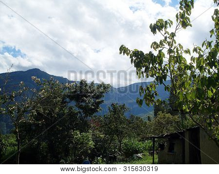 Lush Vegetation Of The Peruvian Amazon Rainforest. Gocta Waterfall In The Background.