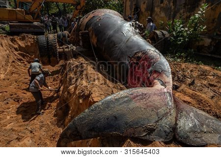 Mui Ne beach, Vietnam - 29 may 2019. The Beached blue whale (scientific name: Balaenoptera musculus) was found deaded in the waters of South China Sea and was pulled out by a crowd of people 
