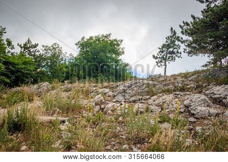 Ai-petri Mountain In The Fog. High Mountain. Crimea. Russian Mountains. Low Clouds. Beautiful Mounta