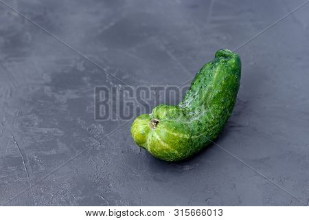 Trendy Ugly Organic Cucumder On A Gray Dark Background, Horizontal Orientation