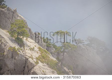 Ai-petri Mountain In The Fog. High Mountain. Crimea. Russian Mountains. Low Clouds. Beautiful Mounta